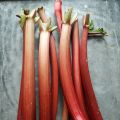 Links: Stewed Rhubarb, Wilted Greens Pesto, and[...]