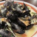 Steamed Mussels with Fennel, Tomatoes, Ouzo,[...]
