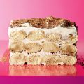 Tiramisu Ice Cream Cake