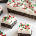 Gift This! No-Bake Chocolate Coconut Bars