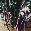 MAPLE SPICE DELICATA, FENNEL + KALE BOWL