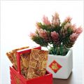 Almond Florentines 杏仁脆饼片CNY 2015