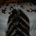 Devil's Food Cake with Peppermint Frosting[...]