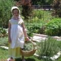 What About All Those Herbs:  Part Three