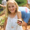 Green Tomato Pie + Kids Farm to Table Camp