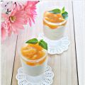 Orange/Peach (No-bake) Cheesecake in Glass plus[...]