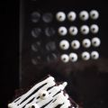 U.S. White Bean Halloween Brownies