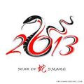 Happy Chinese New Year!