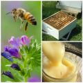 Creamed Honey