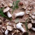 Mastery Challenge: Quick Pickled Mushrooms