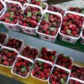 Quick Pickled Balsamic Strawberries
