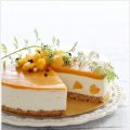 No-Bake Mango Yogurt Cheesecake 免考芒果优格芝士蛋糕