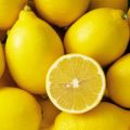 Lemon--Honey Vinaigrette Recipe