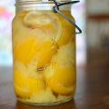 Salt Preserving for the February Mastery[...]