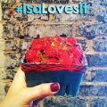 #IsaLovesIt Valentine Instagram Contest