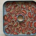 Dehydrating and Pressure Canning for the[...]