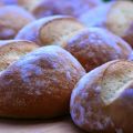 Potato Buns