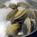 Cape Cod Slide Show and Steam Clams Recipe