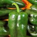 "Chiles Rellenos" Casserole #1 Recipe