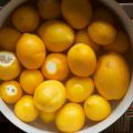 Mastery Challenge January Round-up: Marmalade