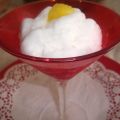 Grandma's Italian Lemon Ice Recipe