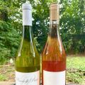 Product Review: Vegan Wines!