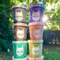 Review: No Bull Dairy-Free Ice Cream!
