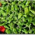calypso dressing Recipe