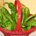 Hatch Green Chile's