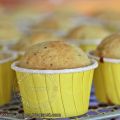 Premix Orange Poppy Seed Muffins