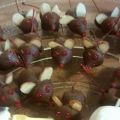 Christmas Mice Recipe