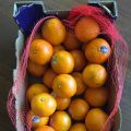 How to Submit Your Marmalade for the January[...]