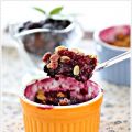 Blueberry Crumble 蓝莓金宝