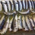 Sardines in a Lemon Olive Oil Sauce