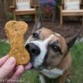 Spinach, Zucchini, and Carrot Dog Treats