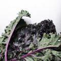 #KALE