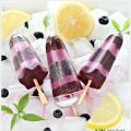 Blueberry Yogurt Popsicles 蓝莓优格冰棒