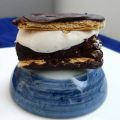 Chocolate Covered Brownie S'mores Sandwiches