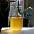 How to Make Apartment-Scale Hard Cider