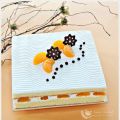 Mandarin Orange Cream Cake 橘子鲜奶油蛋糕