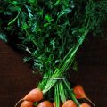Hungry for Spring (and Request to Readers)