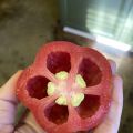 Weird Tomato! Pasta Power! Root Chakra Soup!