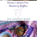 Gluten-Free Blueberry Muffins- No Xanthan Gum