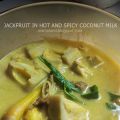 Jackfruit in Spicy and Hot Coconut Milk Gravy