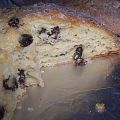 Irish Soda Bread Recipe
