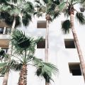 THE FAMILY FORTE. HYATT ZIVA CABOS
