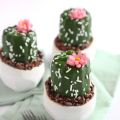 Mini Potted Cactus Cakes