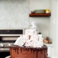 DOVE Hot Chocolate Cake with Peppermint[...]