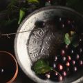 oh my darling muscadine