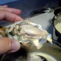 Oysters With Spinach and Lemon Sauce